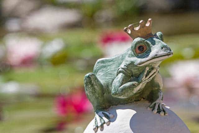 Froschkönig vor Teich (depositphotos.com)