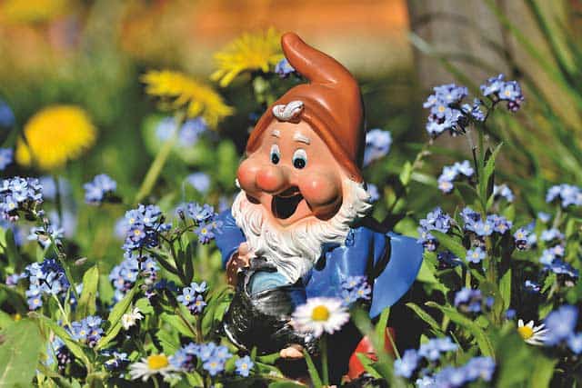 Gartenzwerg mit Gießkanne