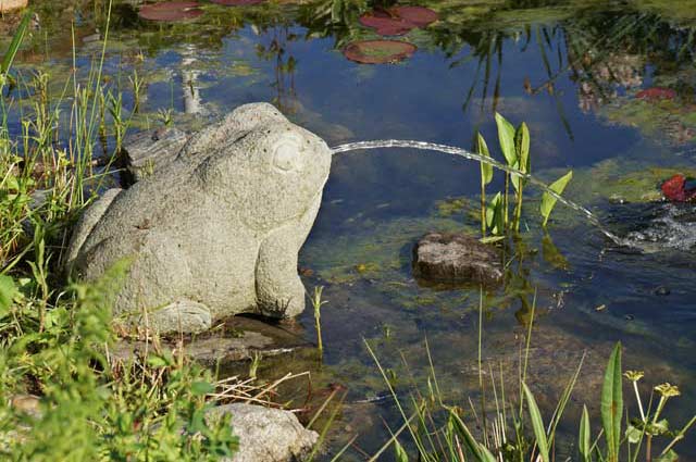 grün aus Keramik mit Solarpumpe für Teich und Miniteich Storm's Gartenzaubereien Wasserspeier Schlange 