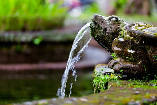 Wasserspeier (depositphotos.com)