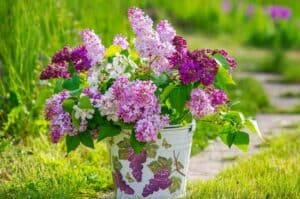 Blumeneimer (depositphotos.com)