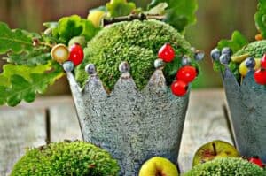 Krone als Pflanzgefäß - Herbstdeko Krone als Pflanzgefäß - Herbstdeko