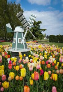 Große Windmühle im Garten