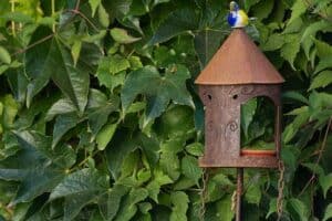 Ein Vogelhaus als Gartendeko aus Eisen Ein Vogelhaus als Gartendeko aus Eisen