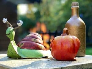 Kürbis - Schnecke - und Flasche Kürbis - Schnecke - und Flasche
