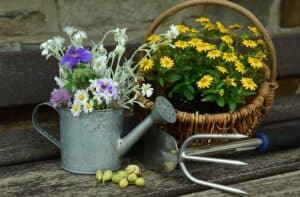 Eine Gießkanne als Gartendeko