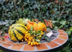 Kürbisse als Herbst-Deko Kürbisse als Herbst-Deko
