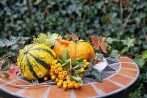 Kürbisse als Herbst-Deko