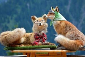 Fuchs als Gartendeko Fuchs als Gartendeko