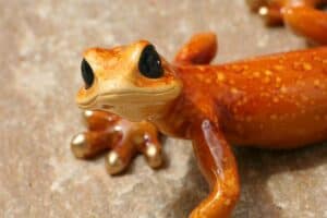 Gecko als Gartendeko