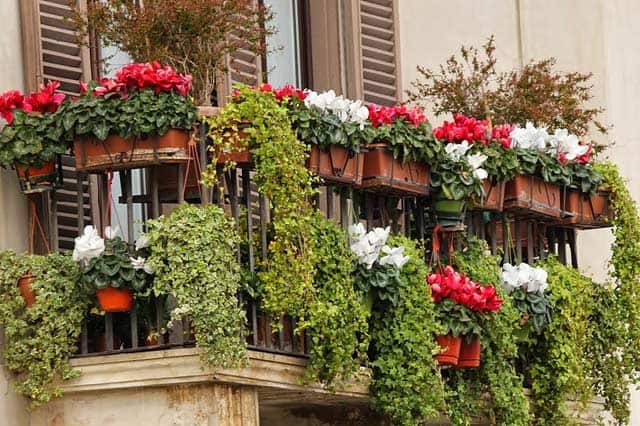 Blumenkästen - garten-dekowelt.de