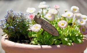 Willkommens Gartenstecker