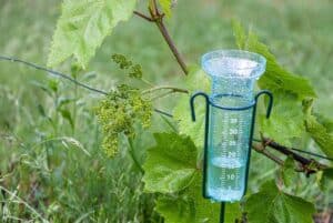Regenmesser Gartenstecker (depositphotos.com)