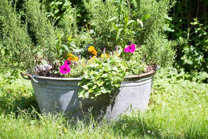 Zinkwanne als Gartendeko (depositphotos.com)