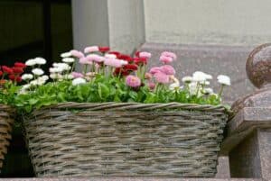 Blumenkasten aus Korbgeflecht (depositphotos.com)