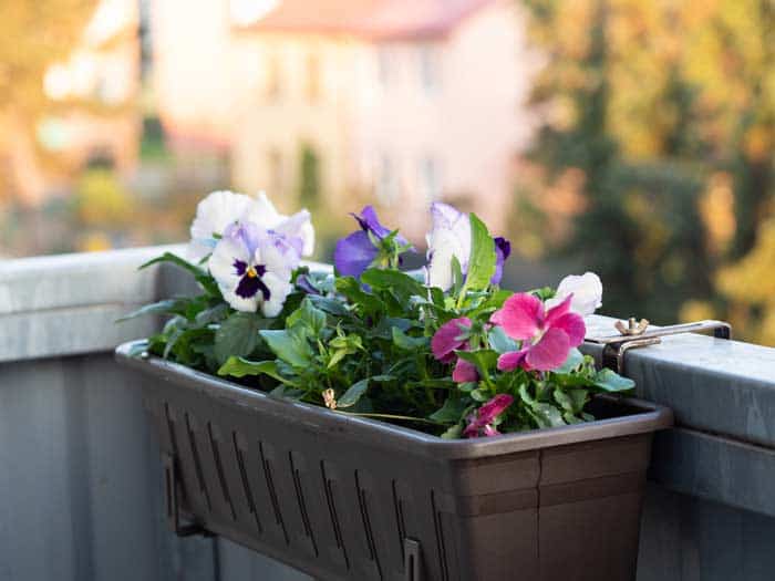 Blumenkasten Hängend Blumenkästen 2025 finden gartendekowelt.de