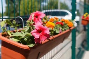 Blumenkasten zum Einhängen (depositphotos.com)