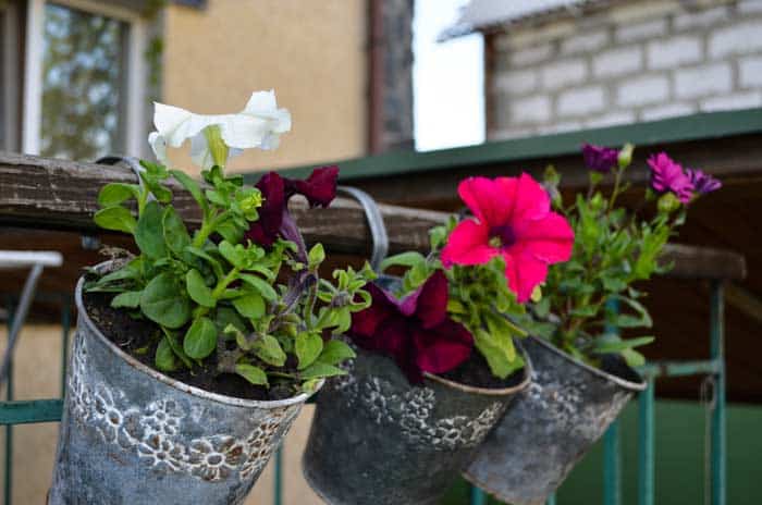 Blumenkasten Schwarz Metall Blumenkästen 2025 finden gartendekowelt.de